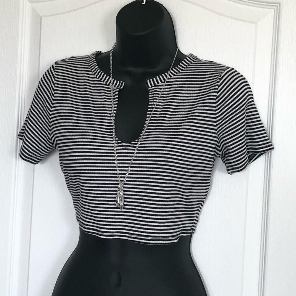 Fashion Nova XL Ribbed Crop Top V Neck